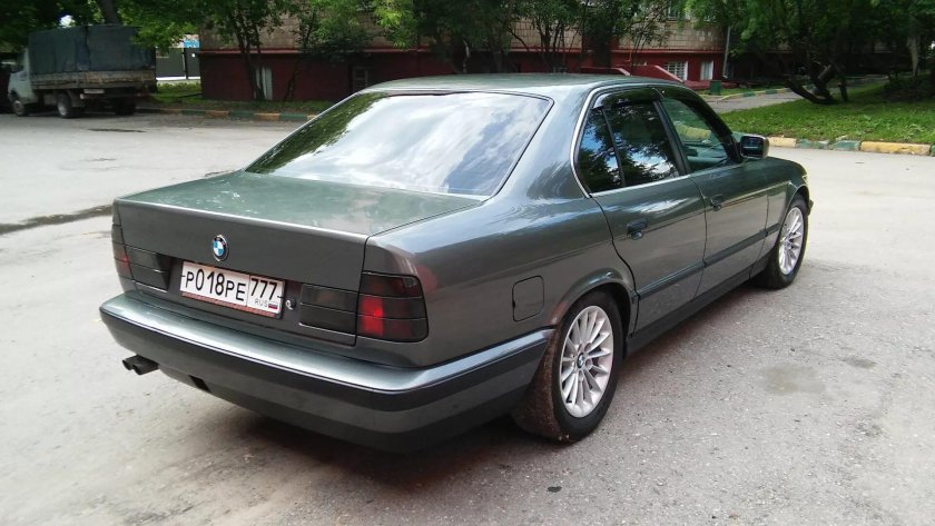 Delphin Metallic e34