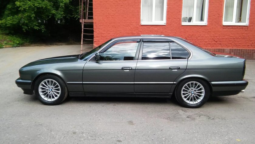 Delphin Metallic e34
