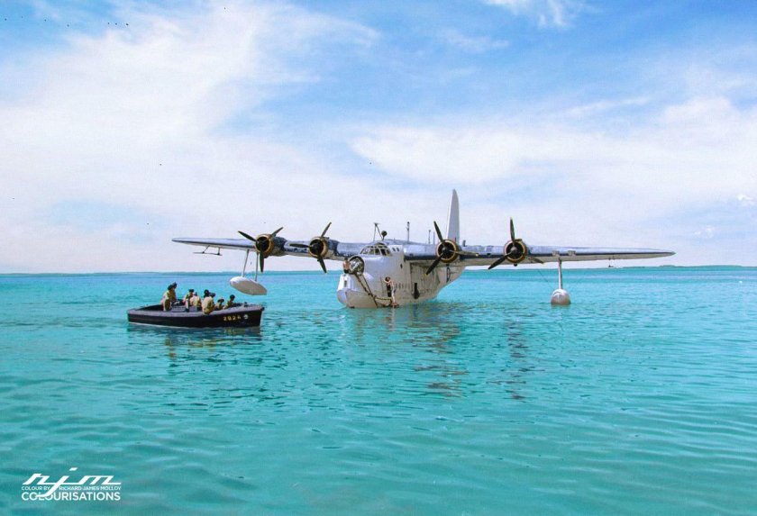 Шорт Сандерленд