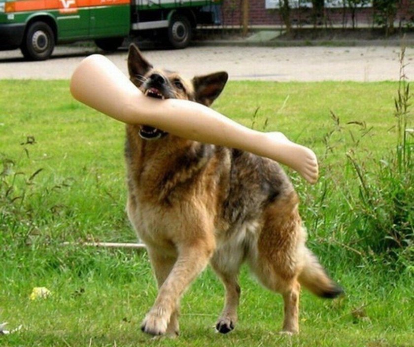 Унести ноги