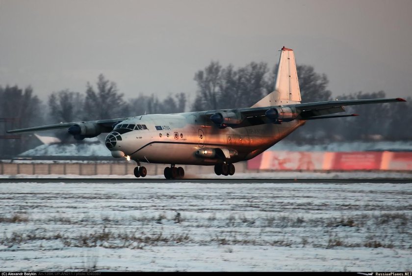 АН-12 черный тюльпан