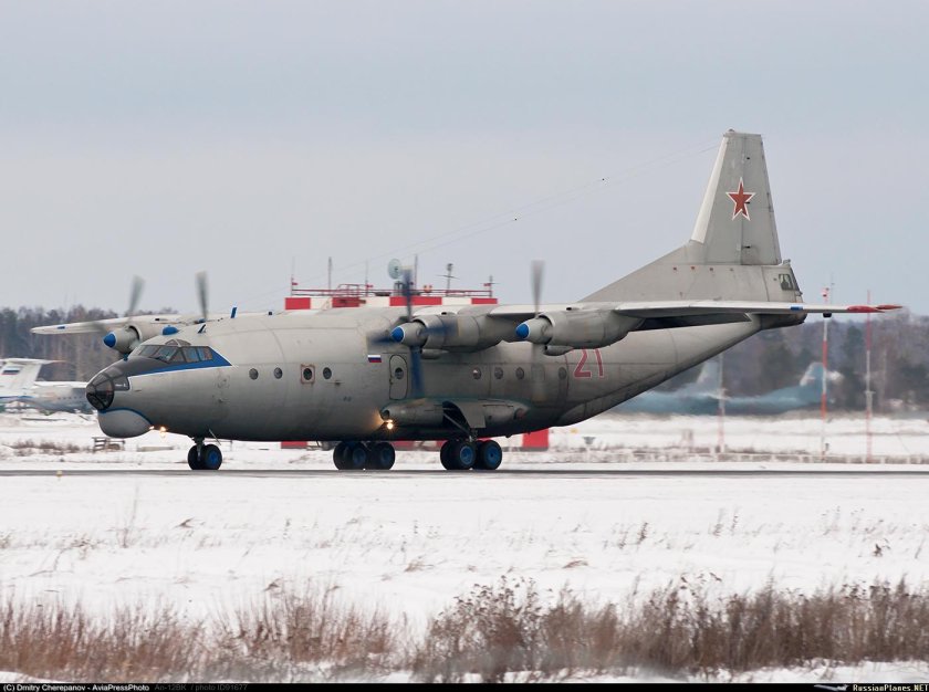 АН-12 черный тюльпан