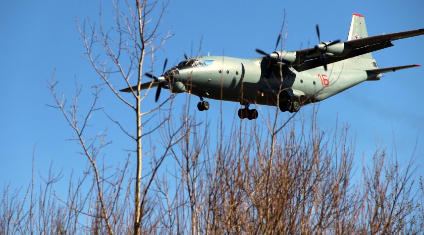 АН-12 черный тюльпан