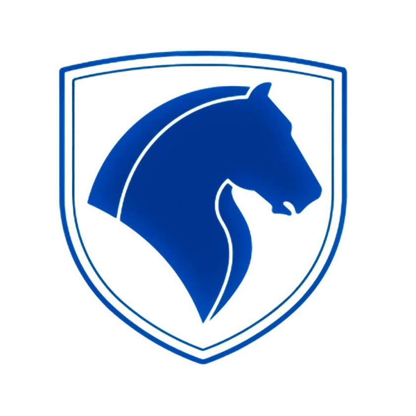 Машина с конем на эмблеме