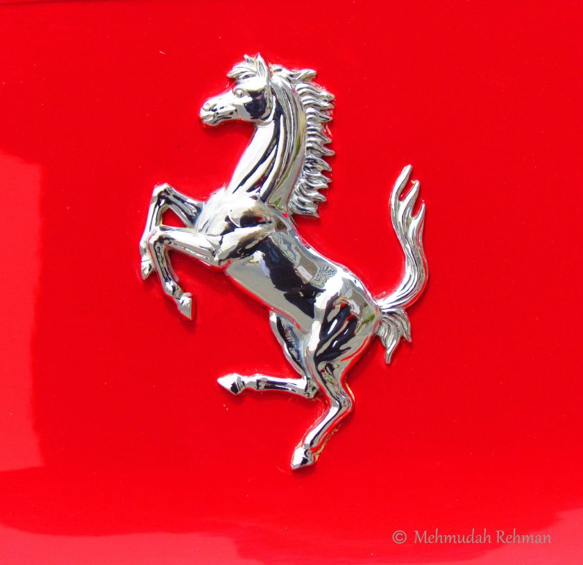 Эмблема лошади на автомобиле