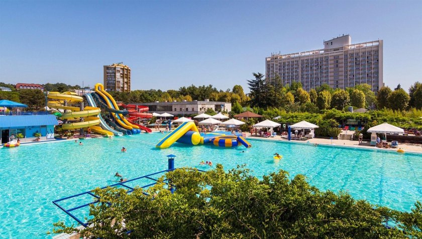 Дельфин Сочи пансионат Адлеркурорт