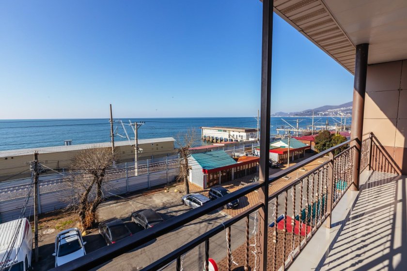 Две пальмы Адлер гостевой дом