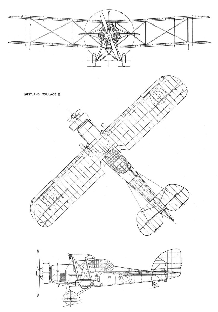 Вестланд Уоллес