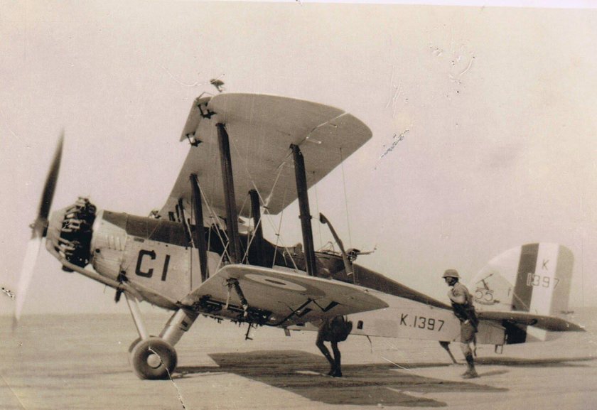 Wapiti IIA, модель