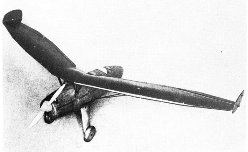 Планер бесхвостка