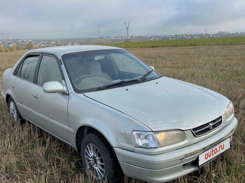 Тойота Королла бежевая