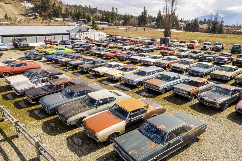 Джанкярд 2020