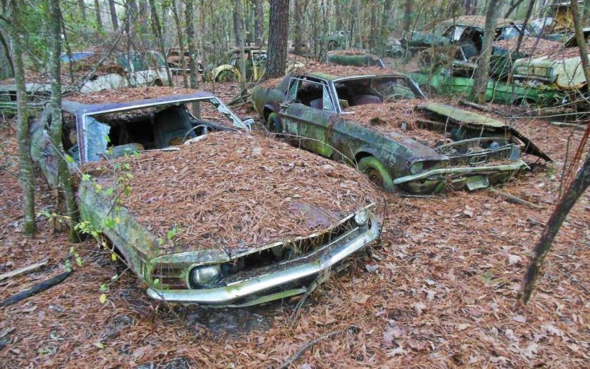 Автосвалки США