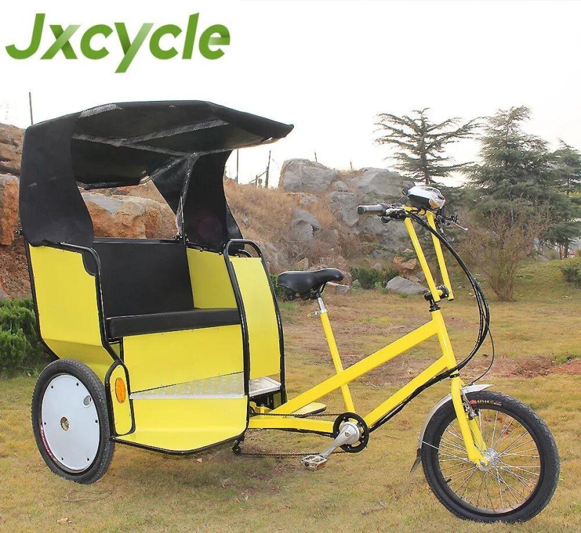Трёхколёсный велорикша грузовой