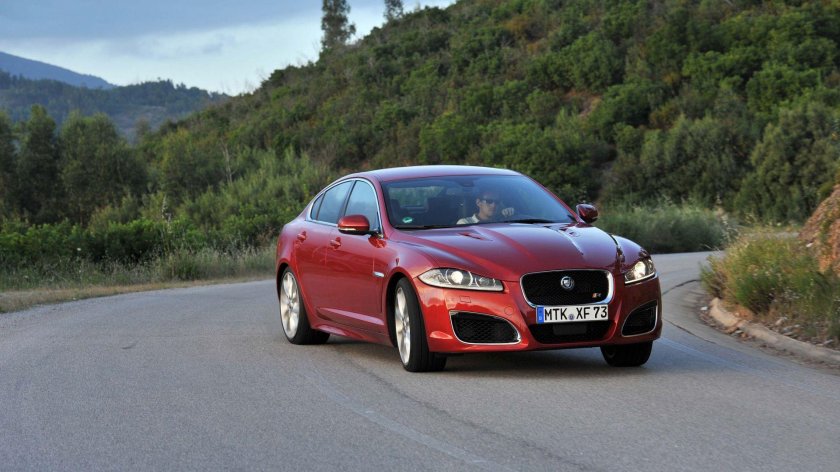 Ягуар в доме