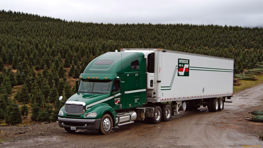 Фредлайнер грузовик 2000