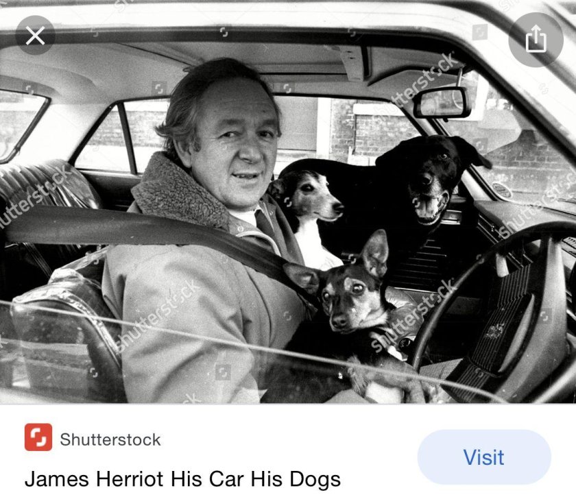 Джеймс Хэрриот ветеринар