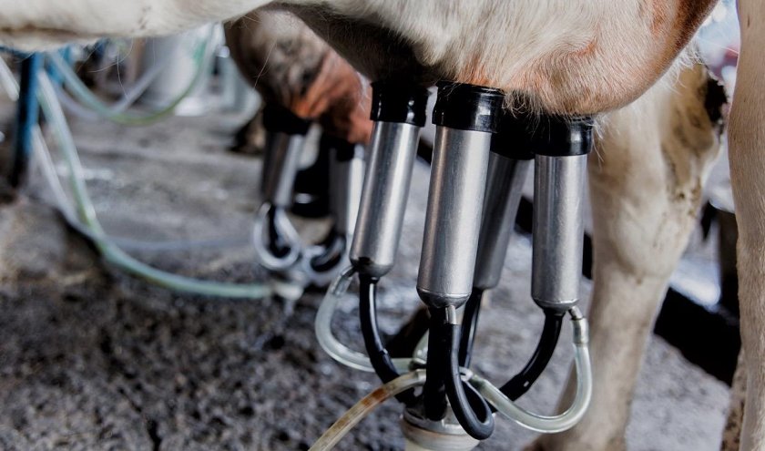 Доильный аппарат молочная ферма 2п