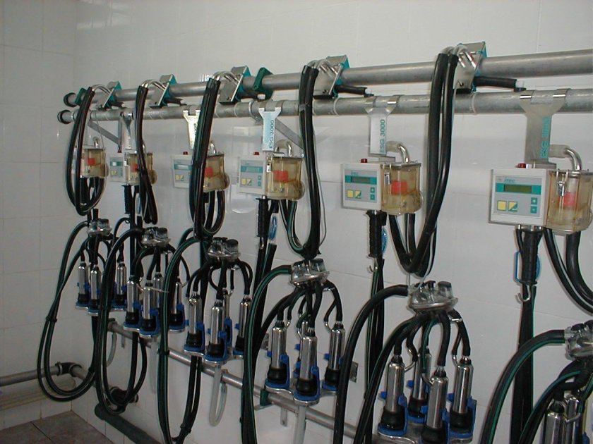 Молокопровод ДЕЛАВАЛЬ на 200 голов