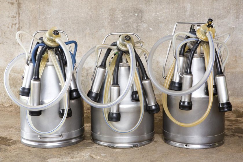 Доильный аппарат в молокопровод