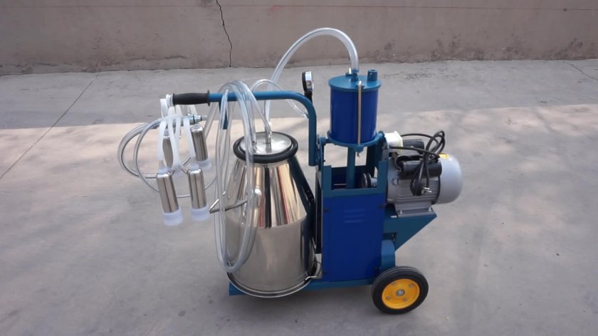 Доильный аппарат Доюшка 1с