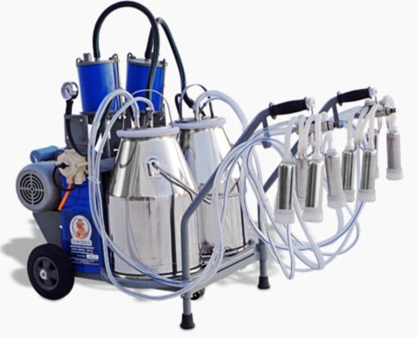 Доильный аппарат доюшка