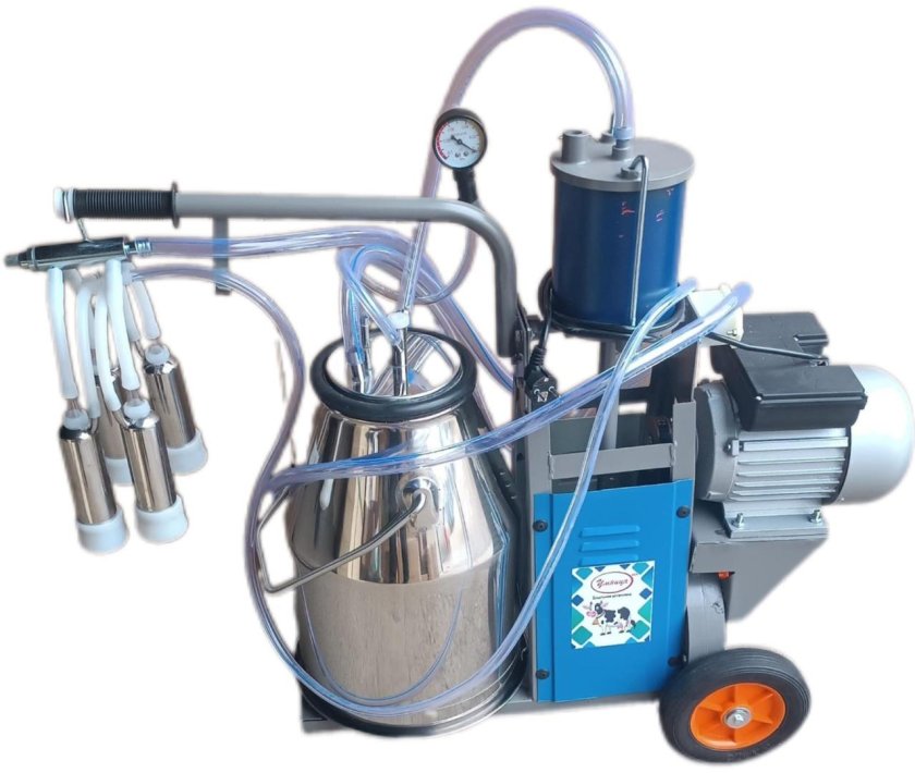 Доильный аппарат для коров красуля