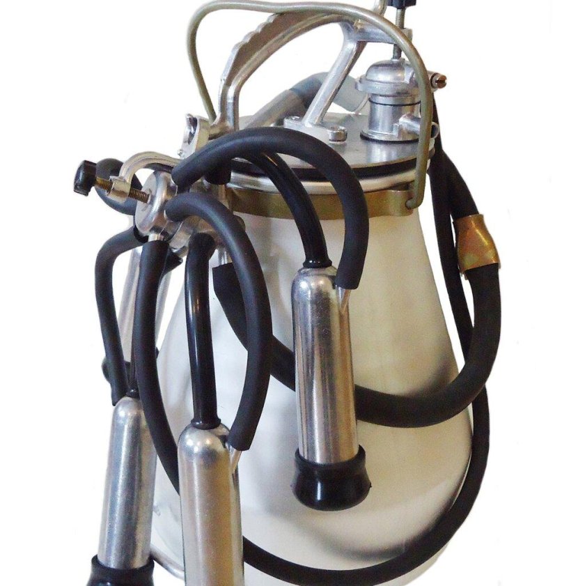 Аппарат доильный Майга дв 31.100-01