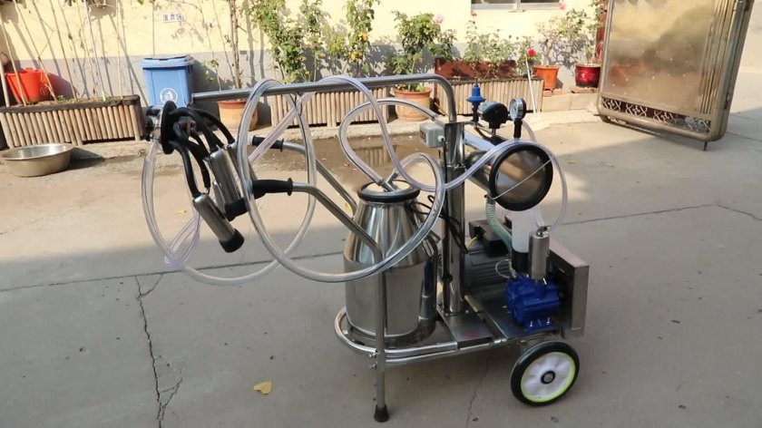 Доильный аппарат молочная ферма