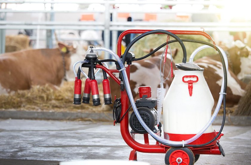 Доильный аппарат молочная ферма