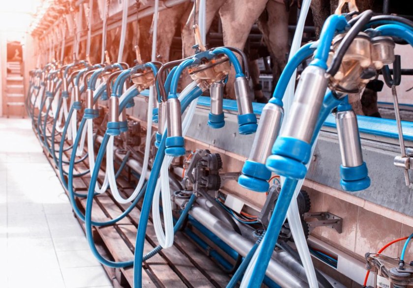 Доильный аппарат для коров молочная ферма