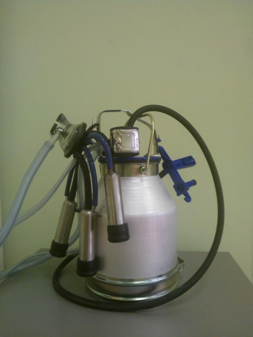 Доильный аппарат в молокопровод