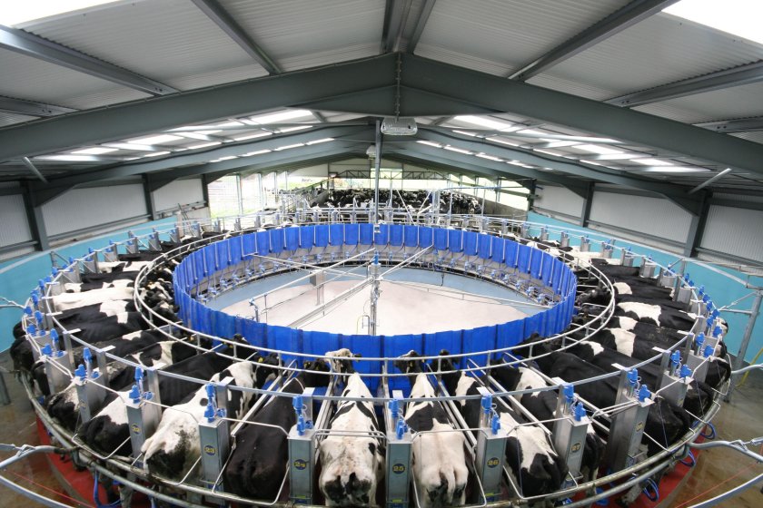 Доильная система для коров Карусель