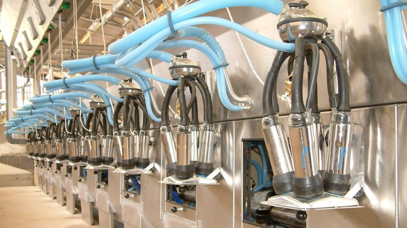 Доильный аппарат молочная ферма