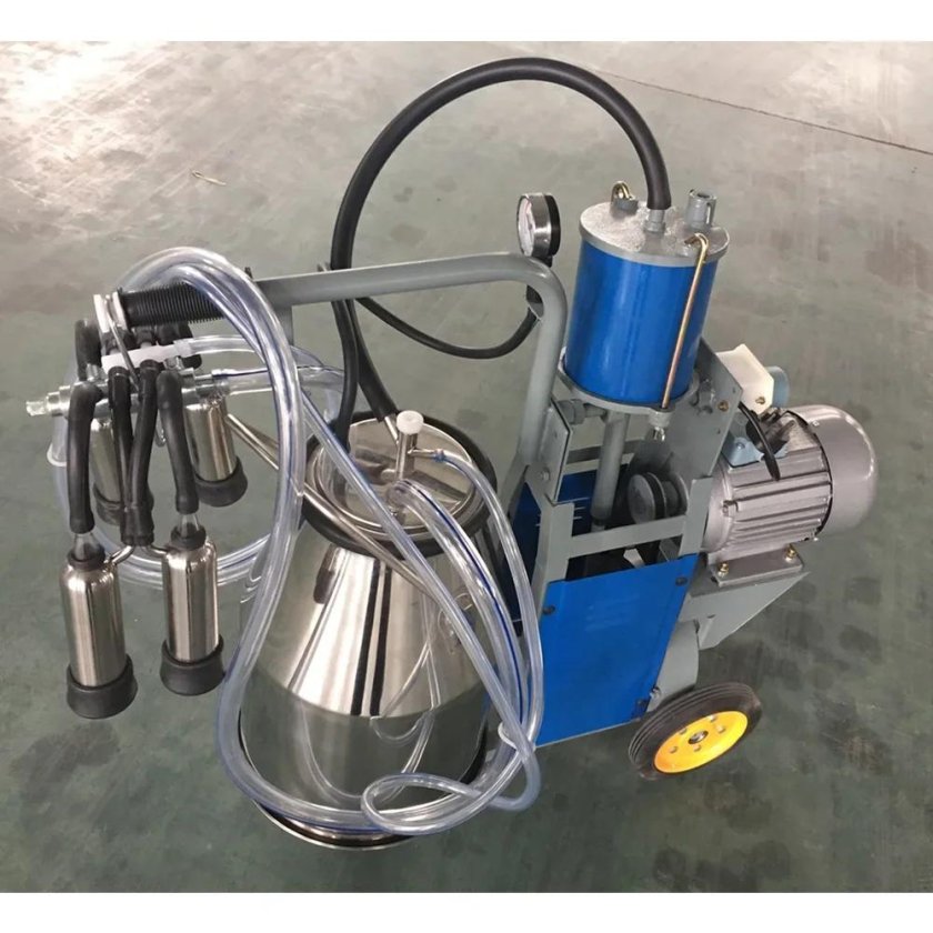 Доильный аппарат Классик 300 Gea