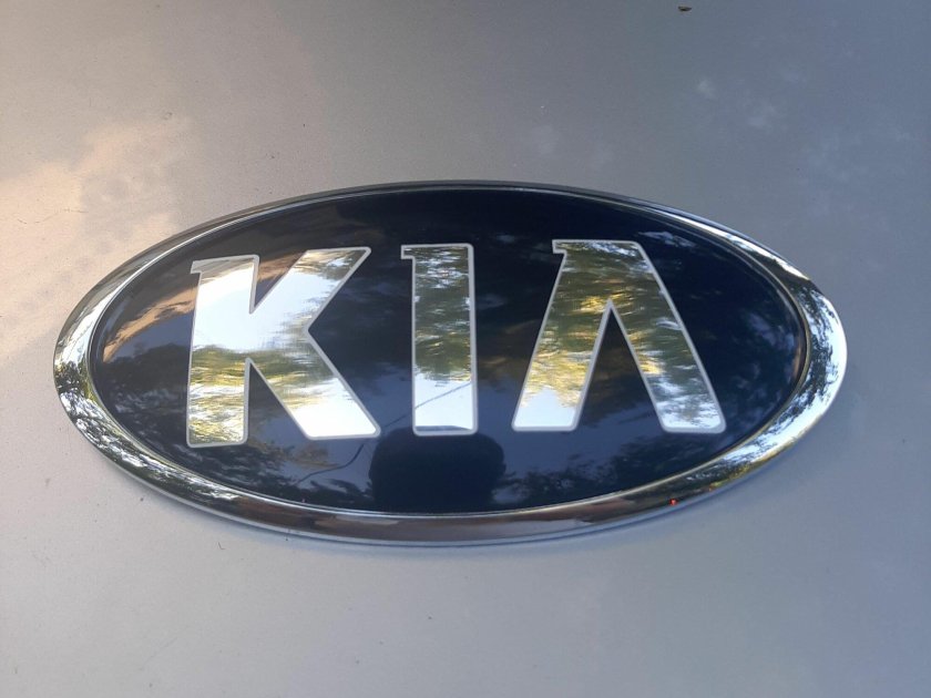 Значок Kia Carnival