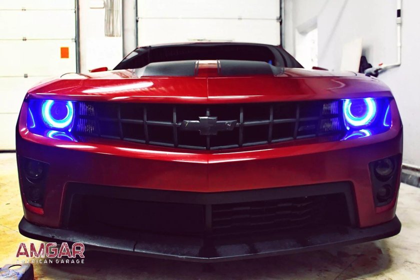 Камаро ангельские глазки