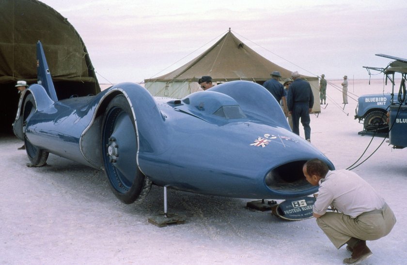 Bluebird cn7 car