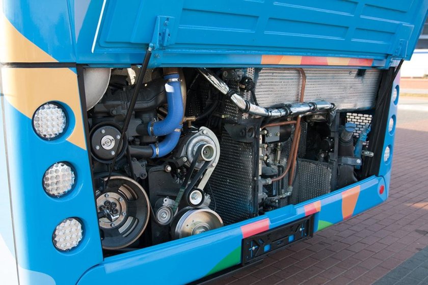 Автобус МАЗ 216 гармошка