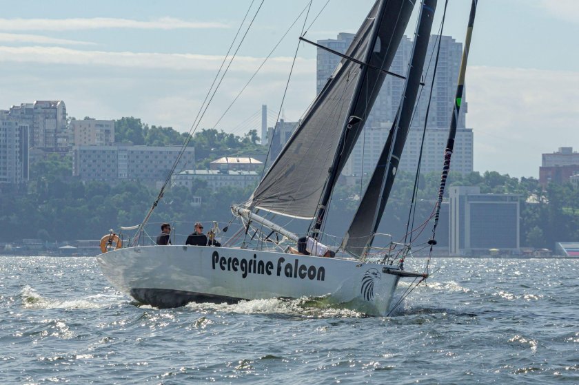 Peregrine falcon яхта