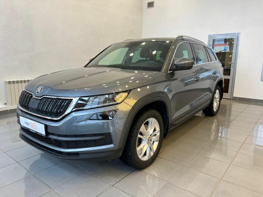 Skoda Kodiaq 2016 — 2022 i серый