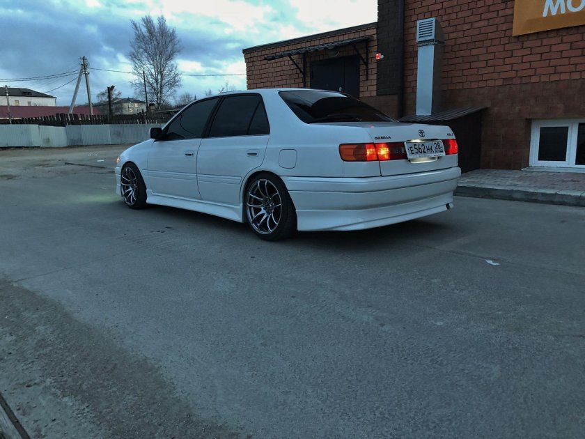 Корона Премио 210