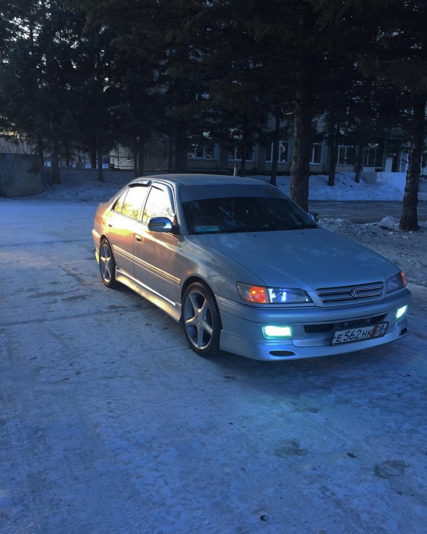 Корона Премио 210