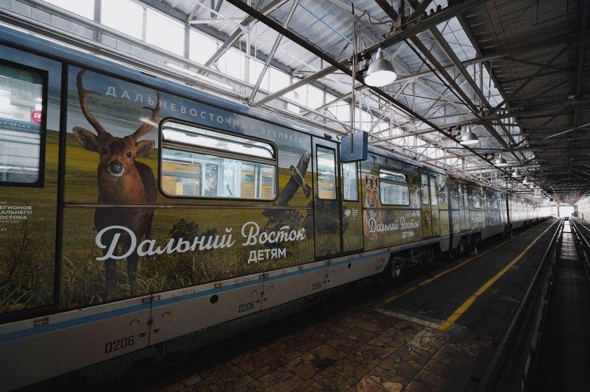 Поезд метро Дальневосточный экспресс