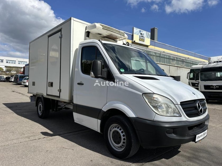 Mercedes-benz sprinter 516 cdi рефрижератор