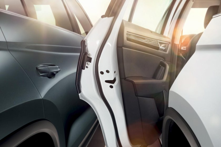 Защита двери Шкода Кодиак