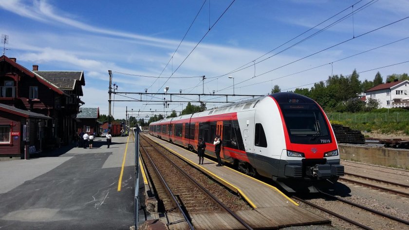 Фанипольские Стадлеры