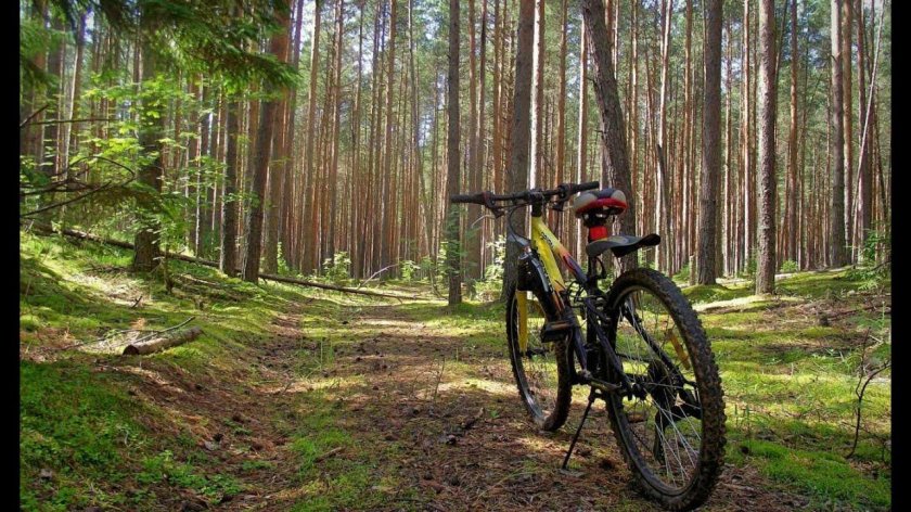 Суоранда велотрасса