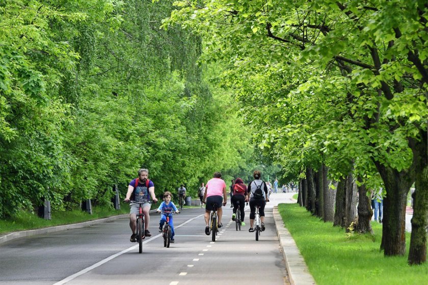 Лесопарк Измайлово велодорожки