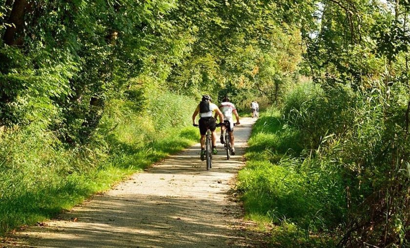 Битцевский парк веломаршрут